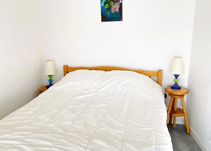 2 Pieces Au Pied Des Pistes, Animaux Admis, - Fr-1-516-10 * Λε Ντεζ Αλπ