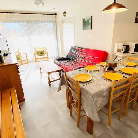 2 Pièces Au Pied Des Pistes, Animaux Admis, - Fr-1-516-10 * Les Deux Alpes