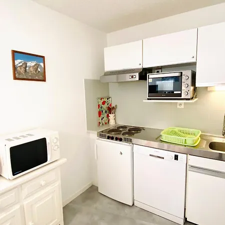 2 Pieces Au Pied Des Pistes, Animaux Admis, - Fr-1-516-10 Les Deux Alpes