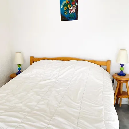 2 Pieces Au Pied Des Pistes, Animaux Admis, - Fr-1-516-10 * Les Deux Alpes