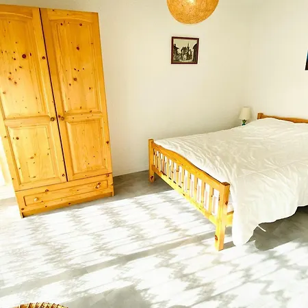 Au Pied Des Pistes Avec Balcon Et Animaux Acceptes - Fr-1-516-10