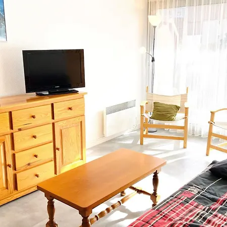 2 Pièces Au Pied Des Pistes, Animaux Admis, - Fr-1-516-10 Les Deux Alpes
