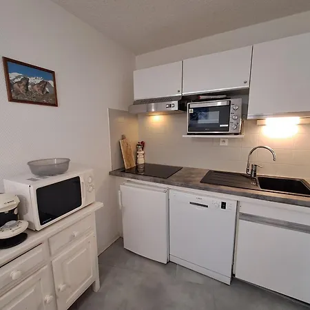 2 Pièces Au Pied Des Pistes, Animaux Admis, - Fr-1-516-10 Appartement