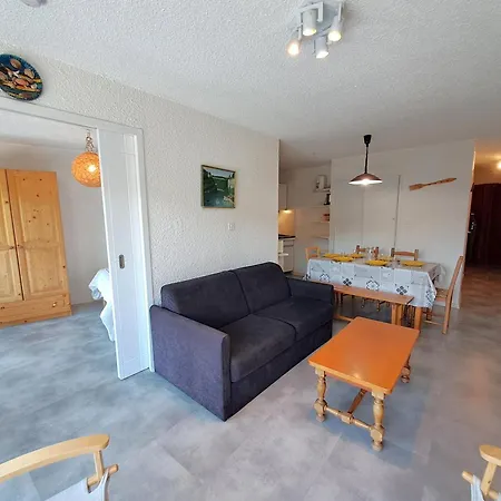 Appartement 2 Pièces Au Pied Des Pistes, Animaux Admis, - Fr-1-516-10