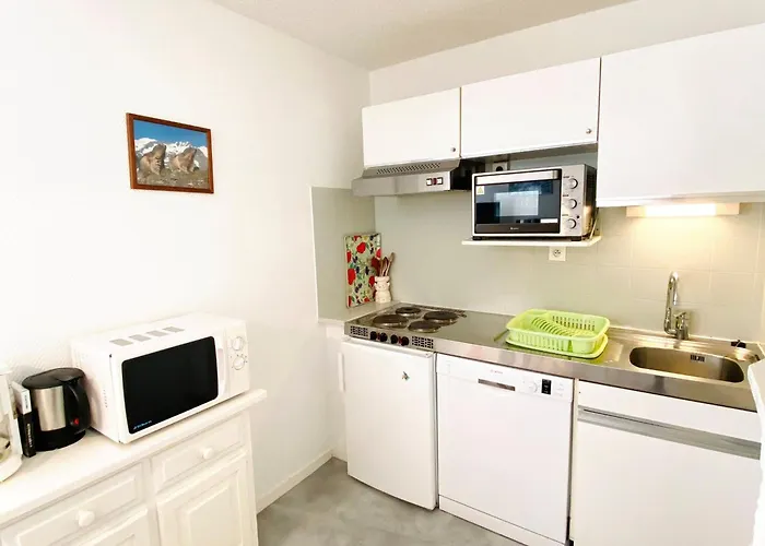 2 Pieces Au Pied Des Pistes, Animaux Admis, - Fr-1-516-10 Les Deux Alpes